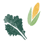 Kale Leaf and Corn Cob
